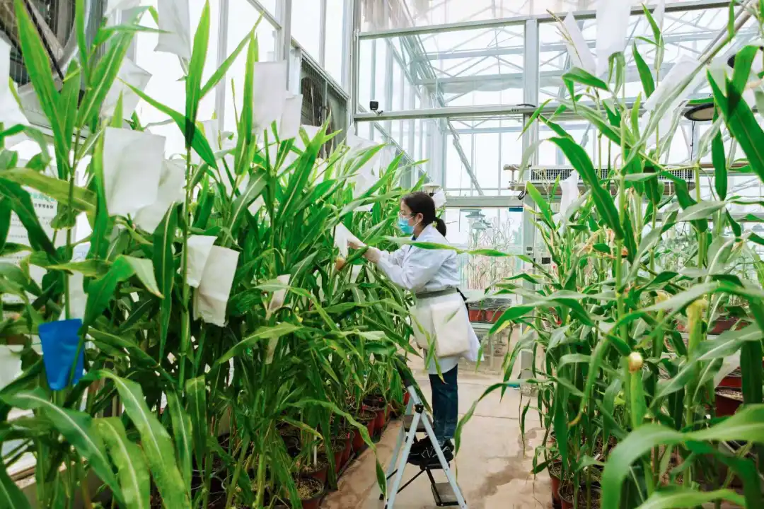 邛崃“零”突破 ！成都市级创新应用实验室获批