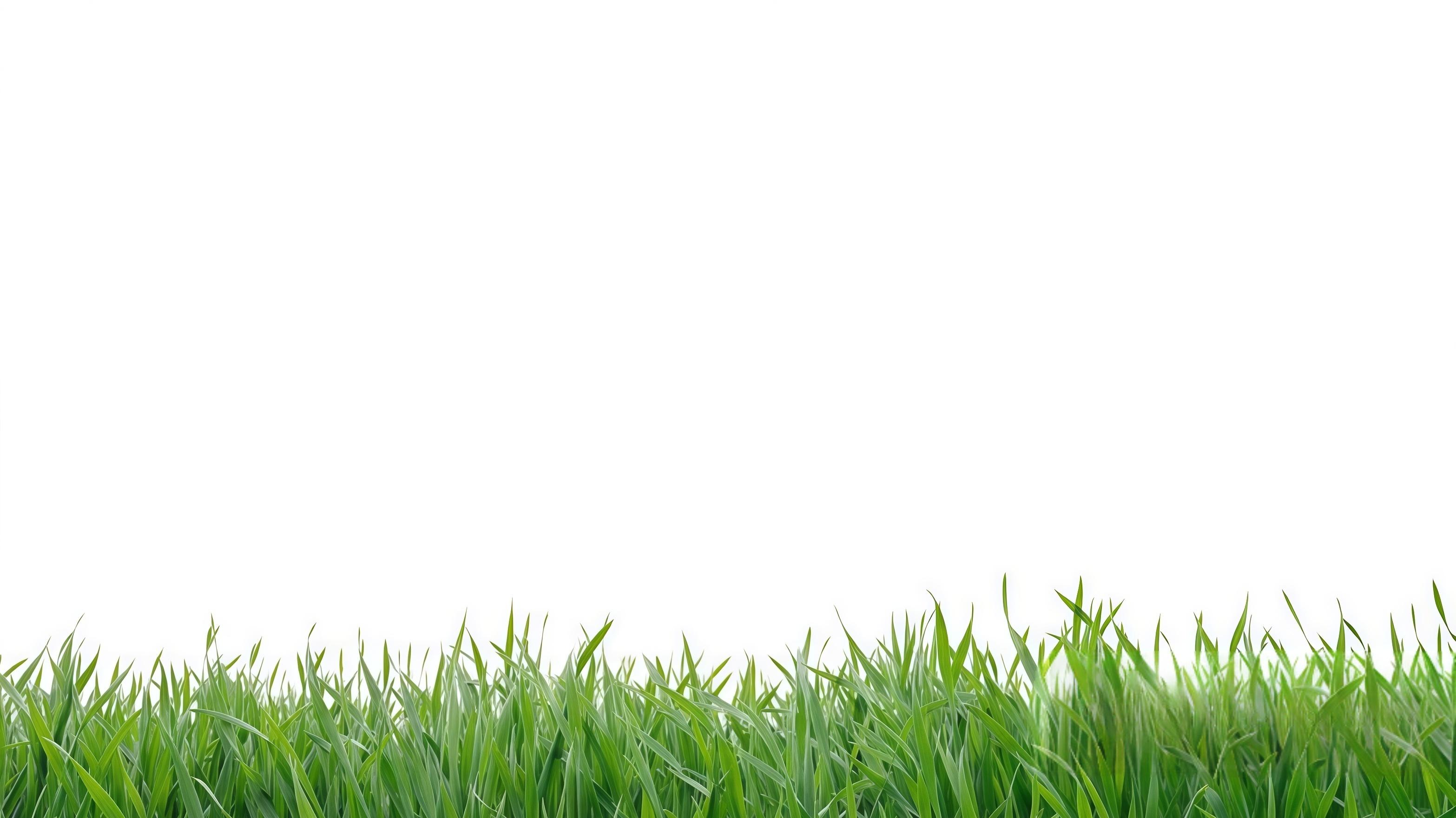 当制度红利撞上百年变局，中国凭什么稳？