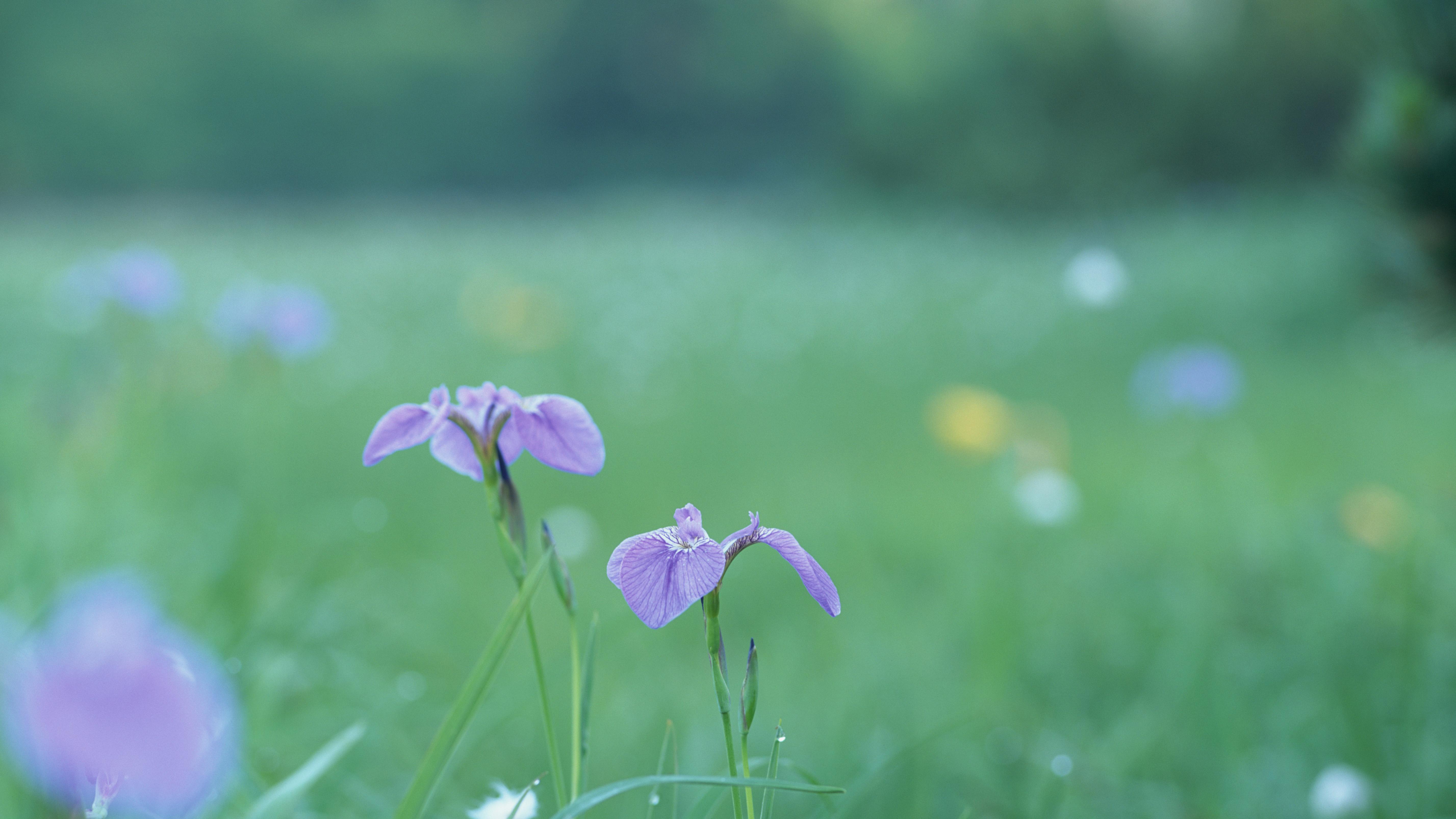 你真正需要的不是“更拼”，而是“换脑”