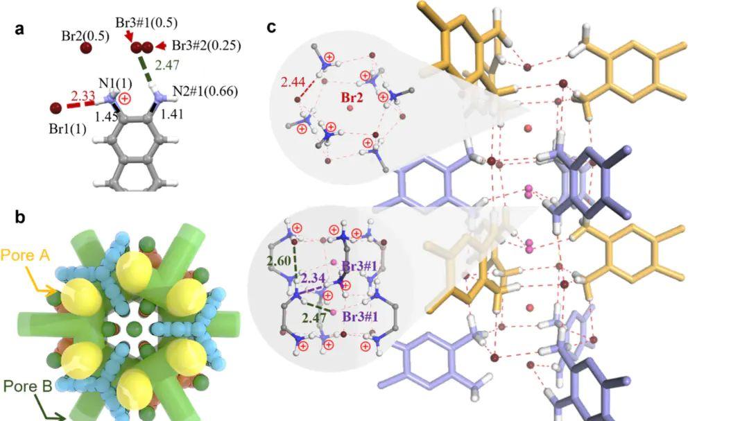 如何进行BET分析？