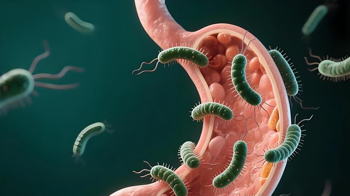 幽门螺旋杆菌感染≠胃癌，但需警惕，做好预防，别感染家人才后悔