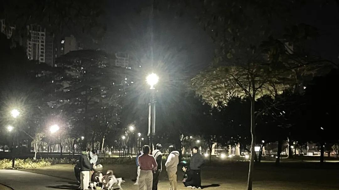 管善建：养狗，我不再憎恶