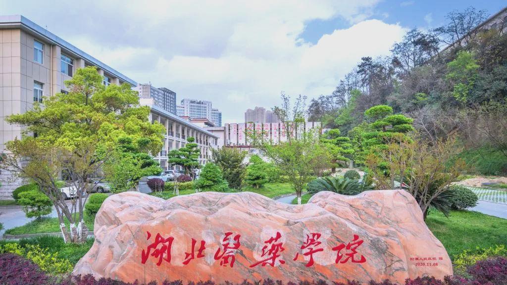2026年湖北医药学院继续教育学院成人高考报名专业及学费公布