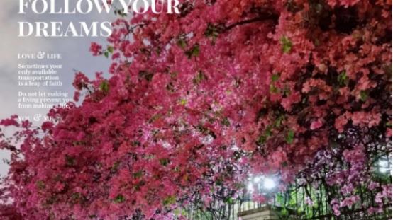 换种方式打开春天收获独属你的浪漫