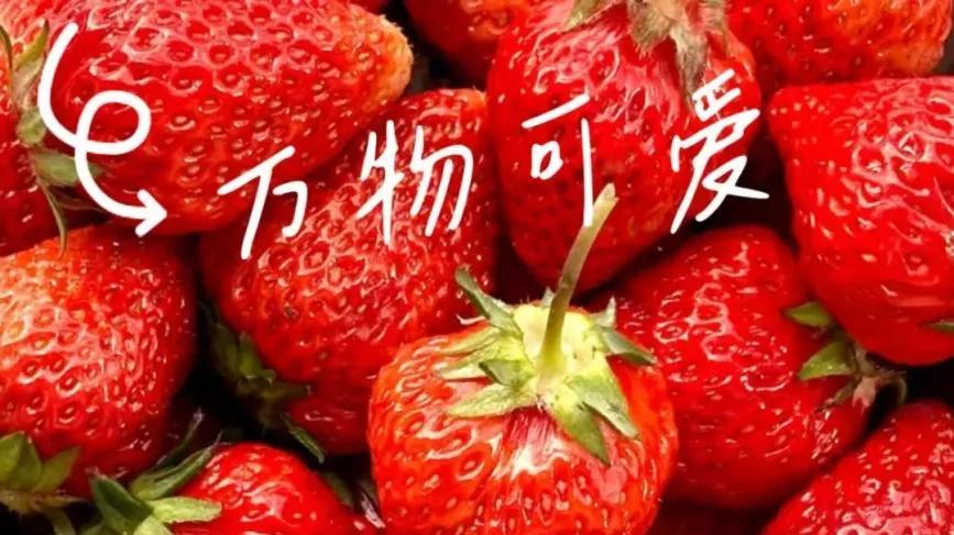 沪上三月必逛市集！把春日美好全装下了