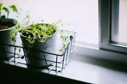 往后余生，三不问！（精辟）