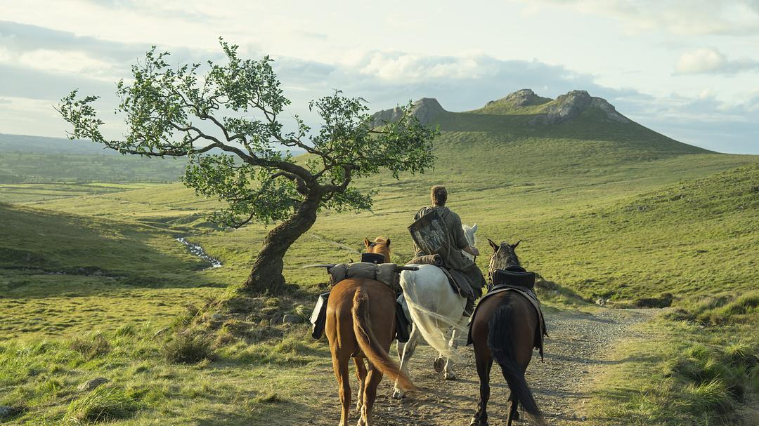 奈飞、华纳CP好甜，让我先嗑半年