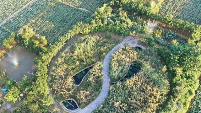 变废为宝 陕西省泾阳污水治理解锁乡村生态循环新密码