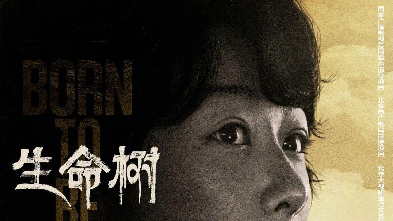 杨紫新剧首播反馈、赵露思宝格丽活动、金晨回应、陈星旭告粉？熟瓜汇总