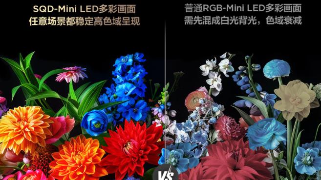 当SQD-mini LED技术下放遇上2026国补，更亲民的画质电视终于来了！
