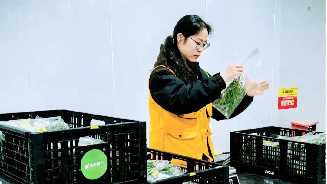 “北菜南运”沙漠菜，丰盛了谁的餐桌？