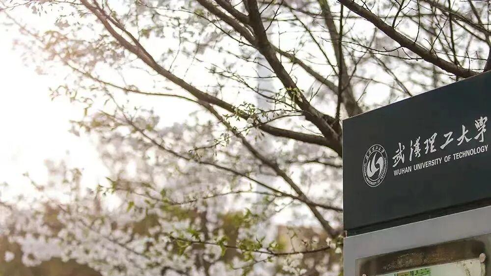武汉理工大学好不好？26门国优课加持，定制化成长！