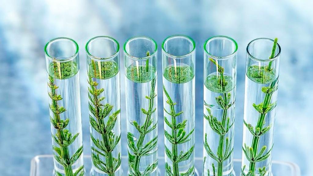 49岁一事无成的堂哥，死后凭啥火遍全网？