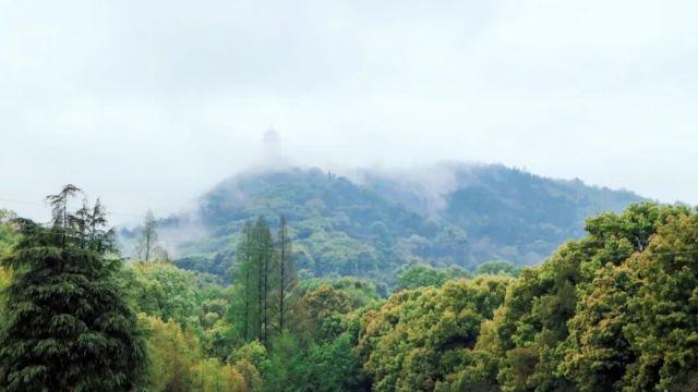 全国仅15所！湖北文理学院王牌专业好不好？师范教育+人工智能，就业有底气！
