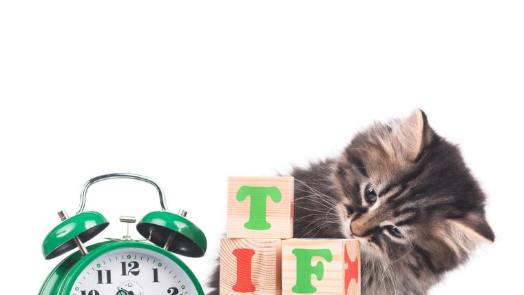 调整 3 岁幼儿过年后作息，绝非盲目而为，诸多注意要点需牢记