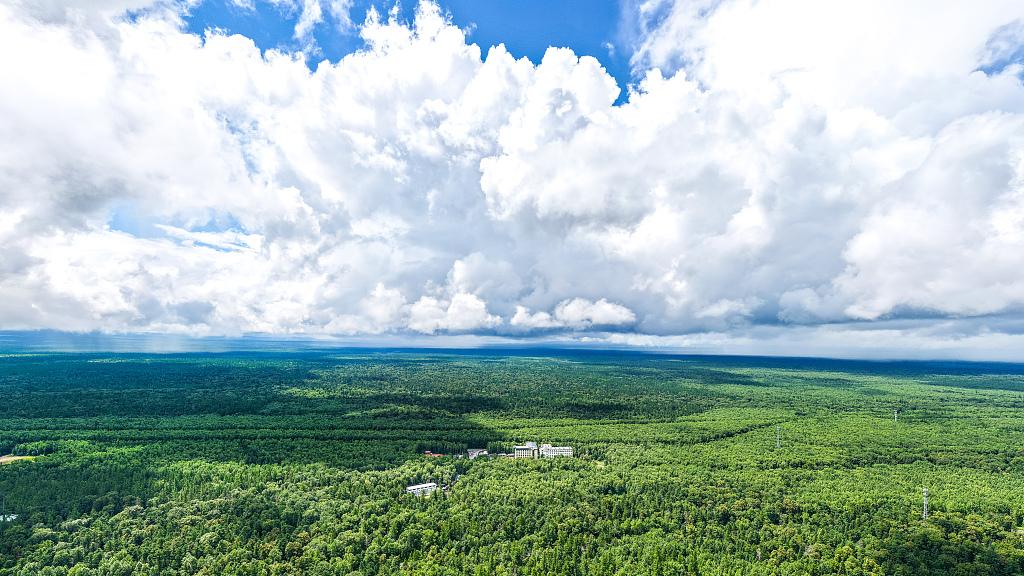 成年人真正的通透，是做到了这件事