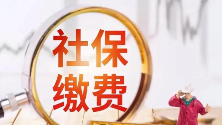 核对身份与单位信息，从源头避免申请被退回
