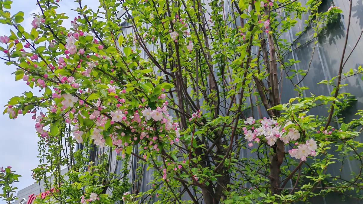 无我无忧，忘我无愁，无私无忧是人生的最高境界