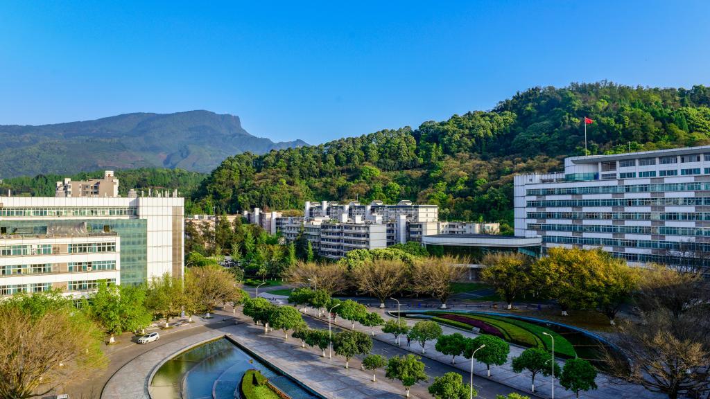 四川农业大学就业怎么样？2万优质岗位进校，多个专业全覆盖！