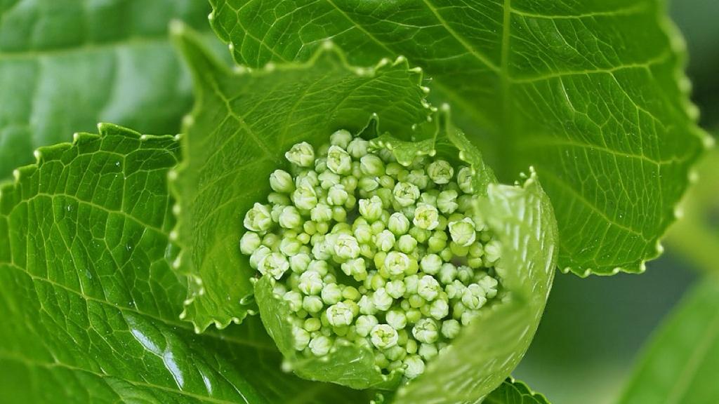 看病花多少钱，医院不能再“糊弄”了