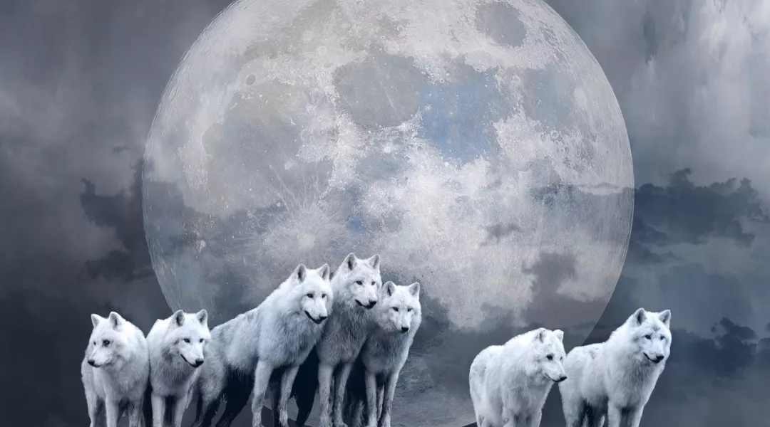 这是一个真实的故事，不要把帮助你的人逼成敌人！