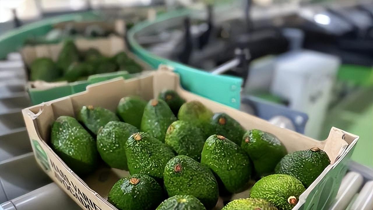 一颗果子盘活一个村？薇娅+新农人的组合，把助农玩出了新高度