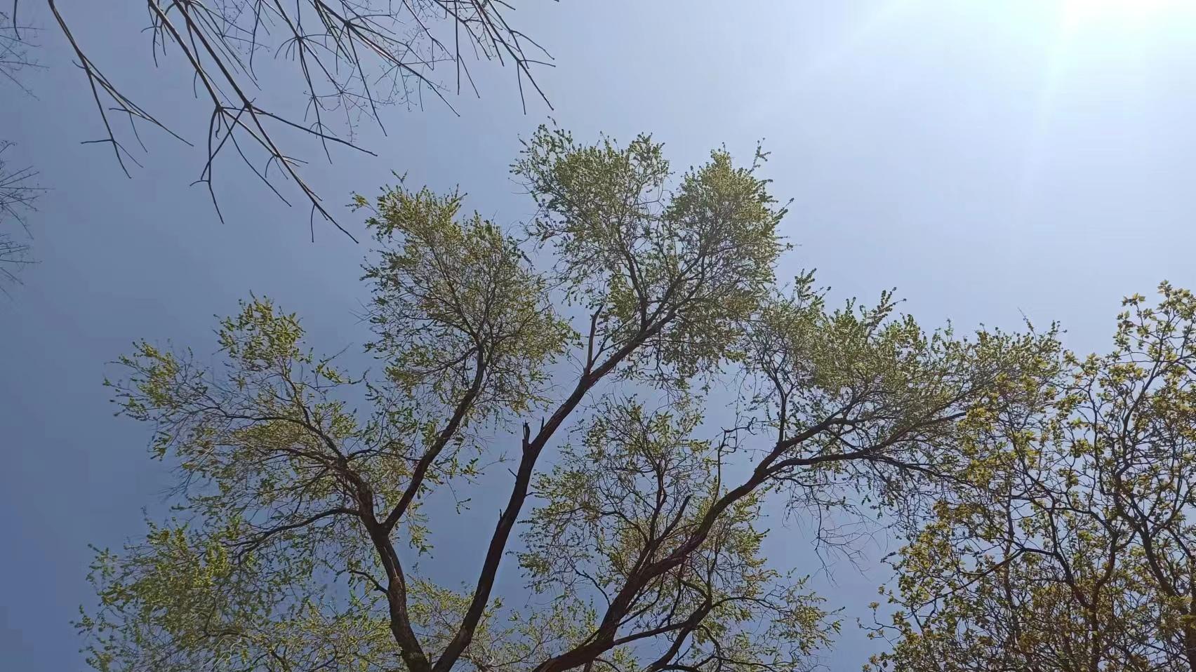 不干涉别人的因果？呸！大错特错了