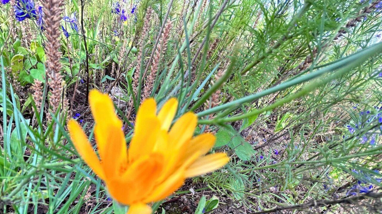 男人有了外心后，跟你冷战的三个目的，别看不出来