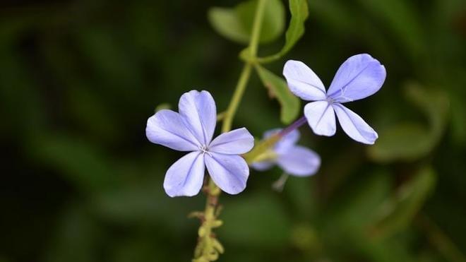 搞定中年女人不用砸钱？三步走心，比甜言蜜语更靠谱