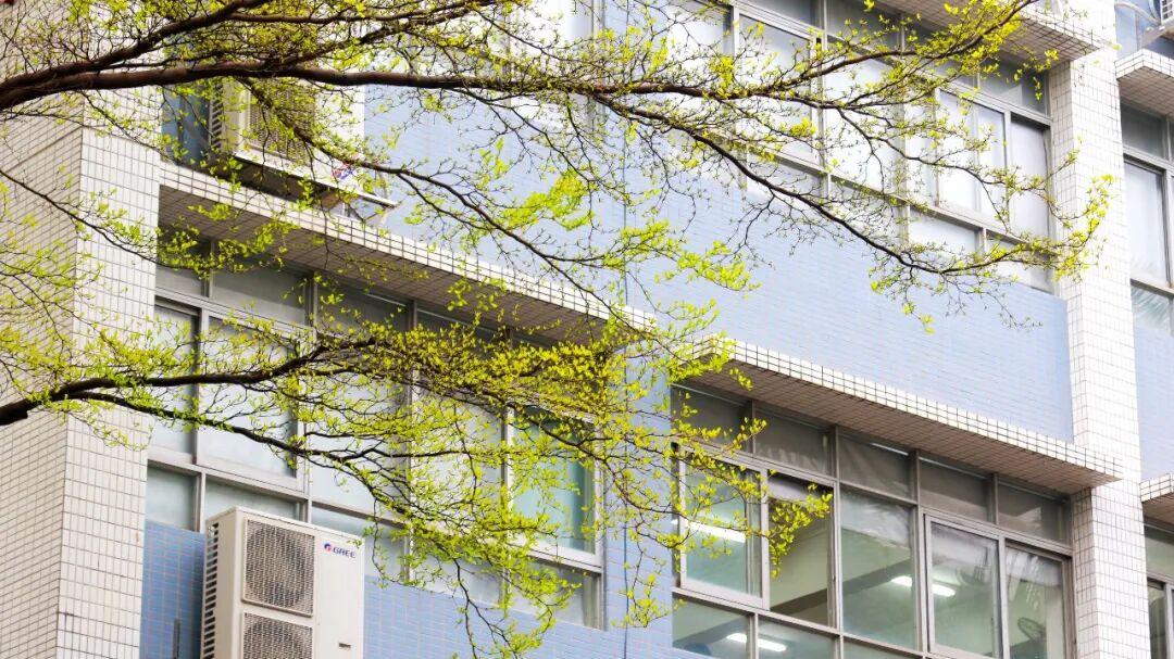 广州新华学院怎么样？担任国际会议重要席位，影响力深远