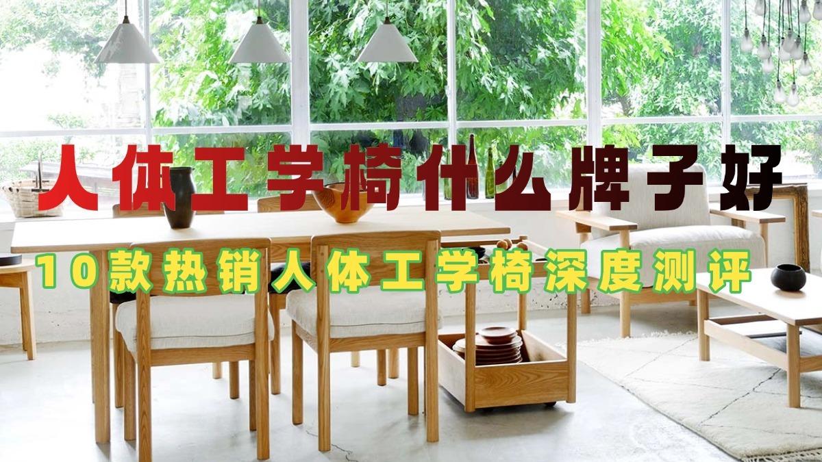 人体工学电脑椅什么牌子好？夏草木、西昊等10款热销人体工学电脑椅深度测评