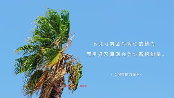 教练书单｜《习惯的力量》：轻松养成可持续好习惯，让成长不再靠意志力硬扛