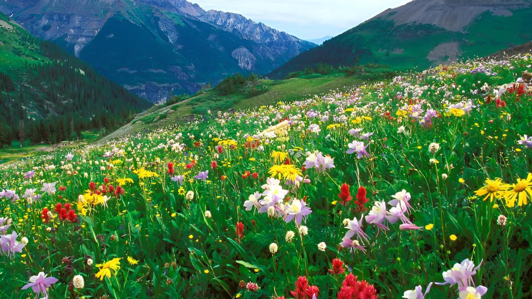 中国6座零差评旅行地，物价低不坑人，50岁之前一定要去一回