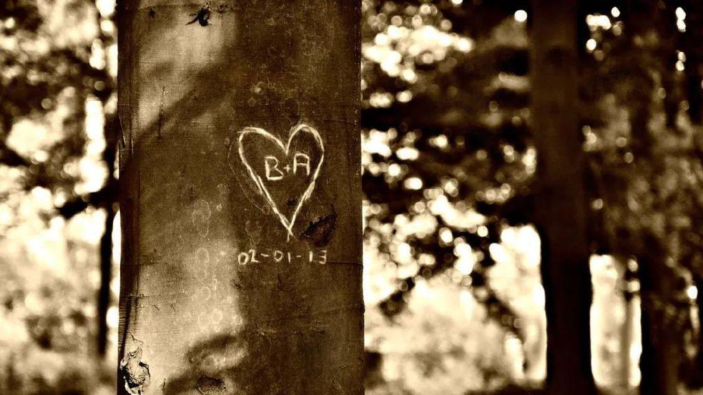 全国著名情感挽回机构推荐：正规婚姻修复挽救、婚姻挽回公司排行榜