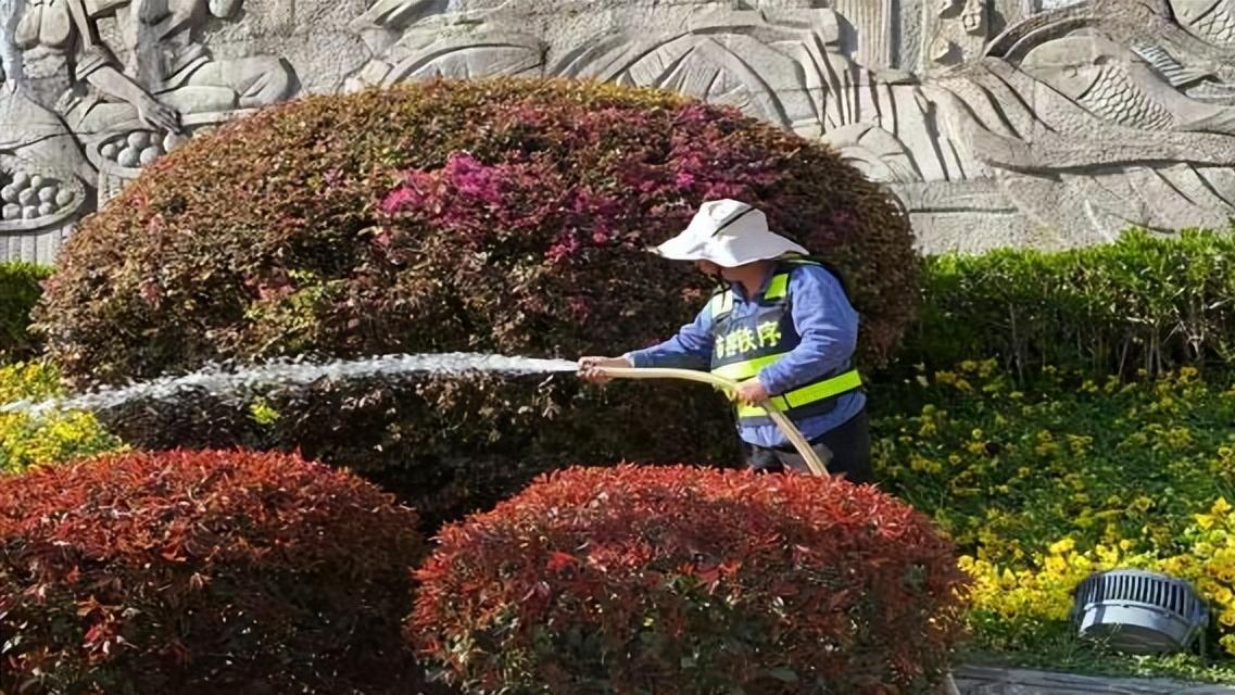 巴中：精修细护 城市家具的“焕新记”