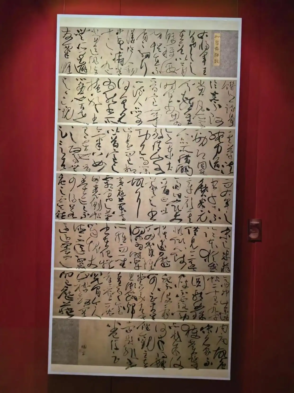 想学好草书？这些法帖与国展作品必临藏