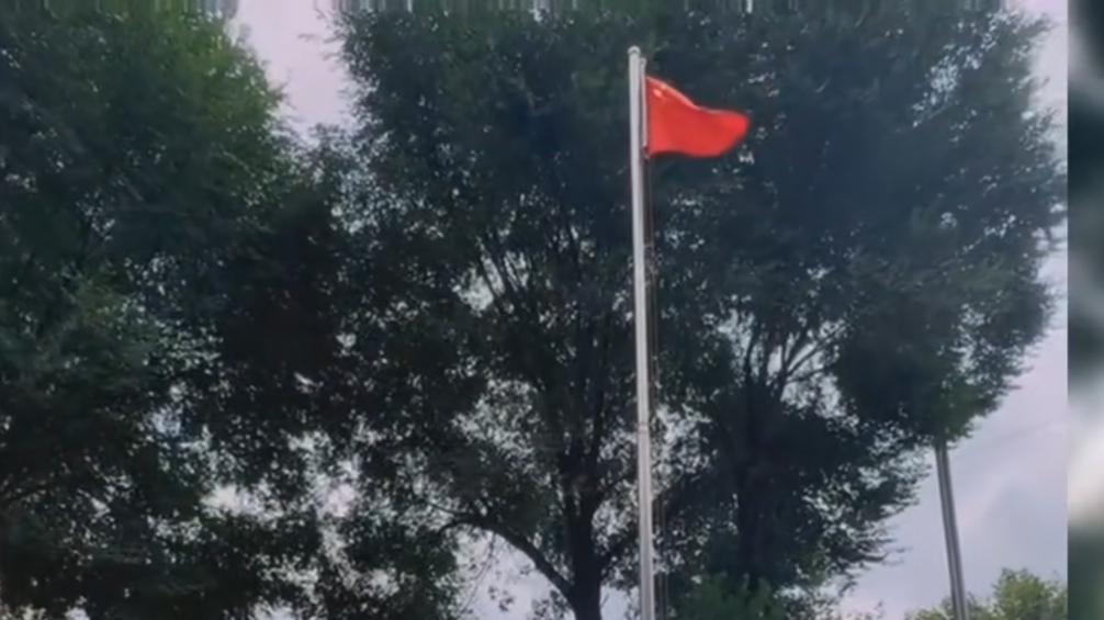 深度剖析：公办与民办幼儿园口碑之比较