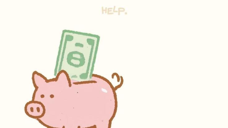 极氪购置税兜底福利，真的有人享受到吗？