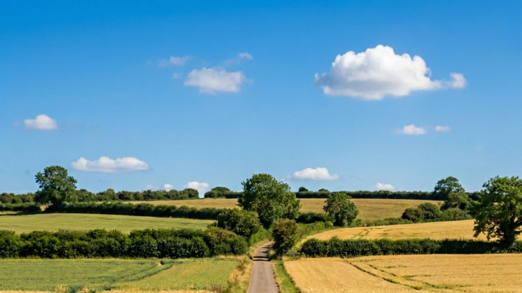 蓝色车没有鄙视链，适合自己就是最好