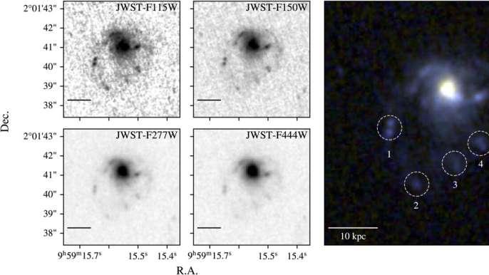 韦伯望远镜发现了迄今为止最遥远的水母星系