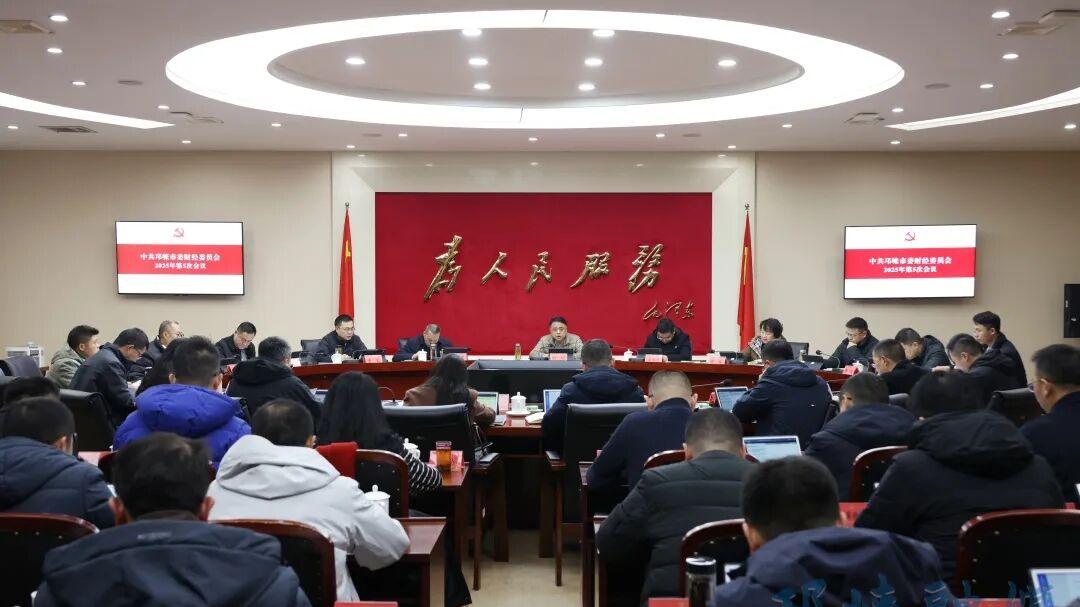 市委财经委员会召开会议