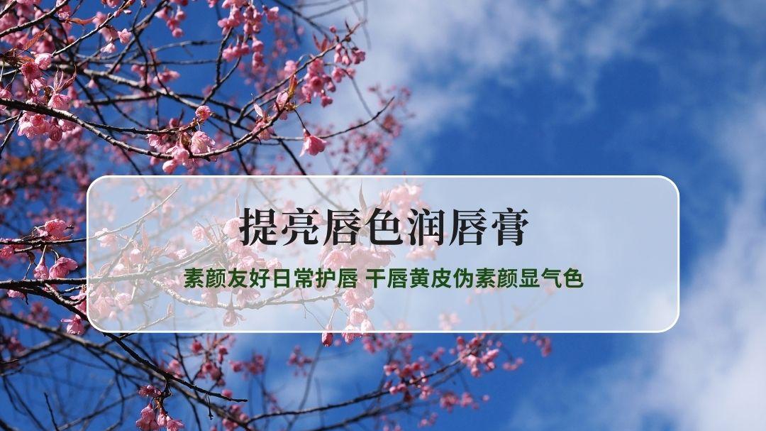 2026不同价位提亮唇色润唇膏 素颜友好日常护唇 干唇黄皮伪素颜显气色