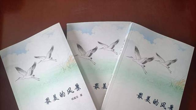 胡中华｜浅议《最美的风景》——以文学审美视角品析杨富安小小说的艺术价值