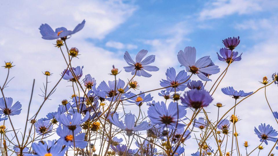 婆婆去世半年，公公要再婚，老公想用我婚前的房子给公公当婚房