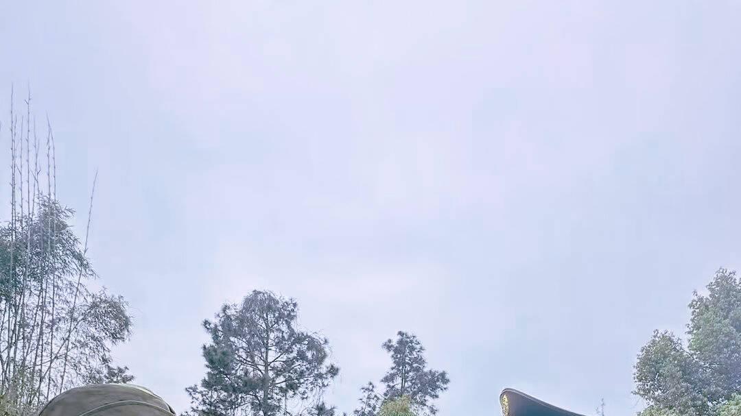 陈着导演新作热播 短剧赋能合川滕滕的山文旅流量