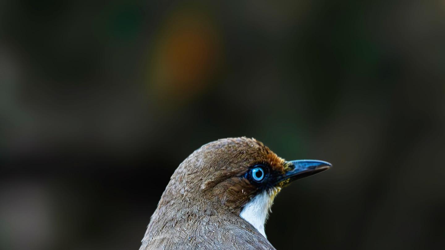 当生活冒犯了你，请学会“冒犯”回去
