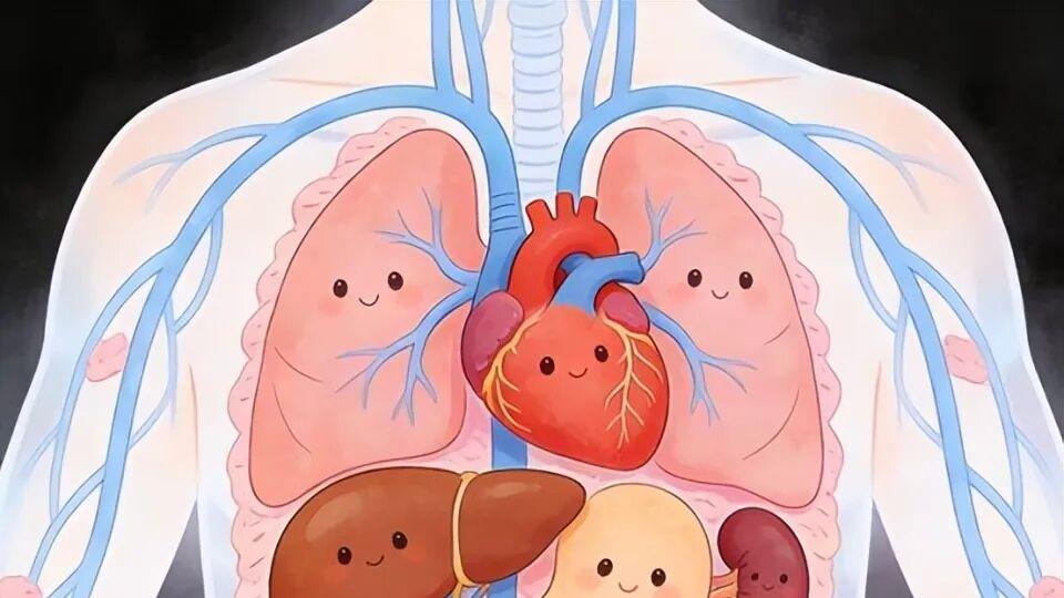 【南宫读书会】《人体简史》构成一个人需要哪些东西