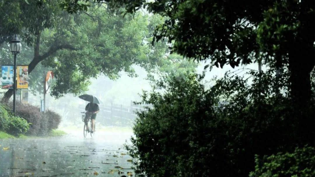 夏雨来袭，如何防止湿邪入侵？