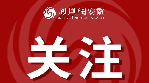总面积超428亩！合肥3月计划出让10宗地块