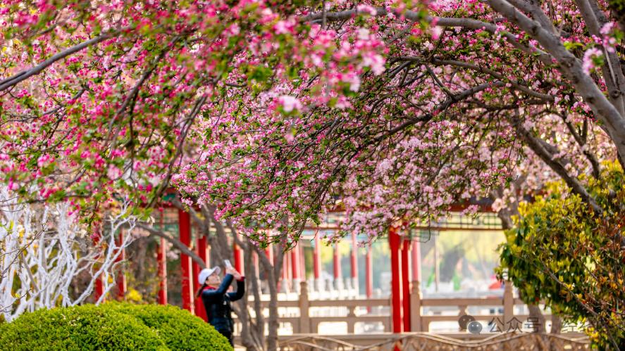 这4种“春捂”是在养病！春捂的关键，不在“捂”，而在“顺”！